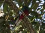 CostaRica06 - 031